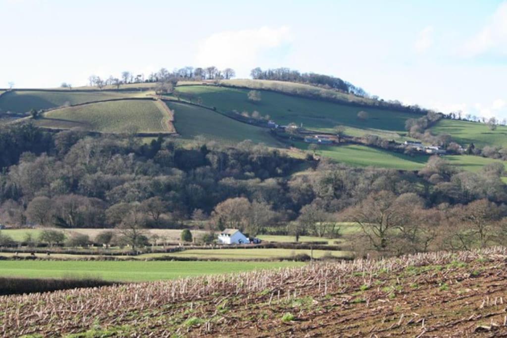 Rural Devon Retreat In Stunning Exe Valley. 埃克塞特 外观 照片